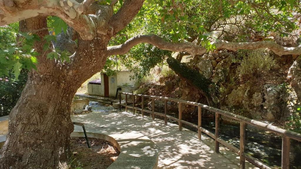 Sofia's House דירה